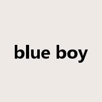 blue boy是什么意思