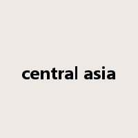 central asia是什么意思