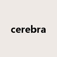 cerebra是什么意思