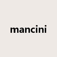 mancini是什么意思