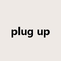 plug up是什么意思