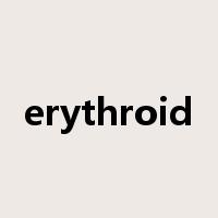 erythroid是什么意思
