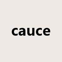 cauce是什么意思