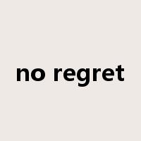 no regret是什么意思