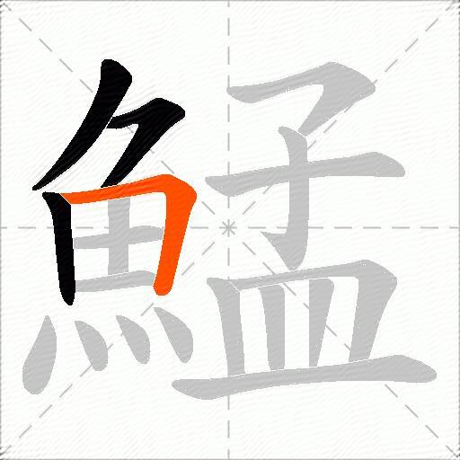 鯭