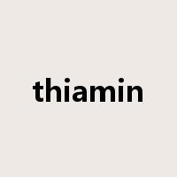 thiamin是什么意思