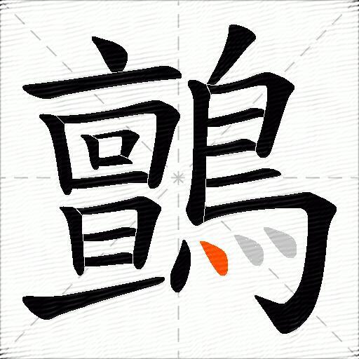 鸇