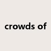 crowds of是什么意思