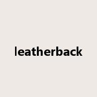 leatherback是什么意思