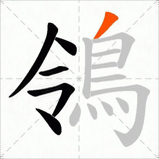 鴒