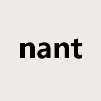 nant是什么意思