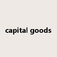 capital goods是什么意思