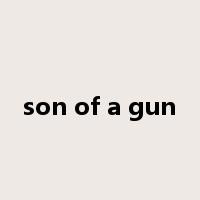 son of a gun是什么意思