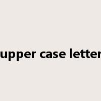 upper case letter是什么意思