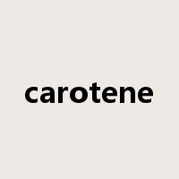 carotene是什么意思