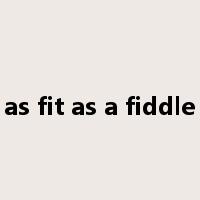as fit as a fiddle是什么意思