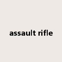 assault rifle是什么意思
