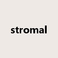 stromal是什么意思