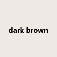 dark brown是什么意思