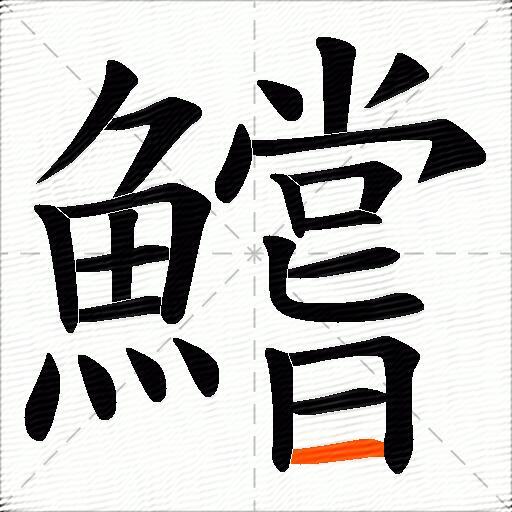 鱨