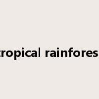 tropical rainforest是什么意思