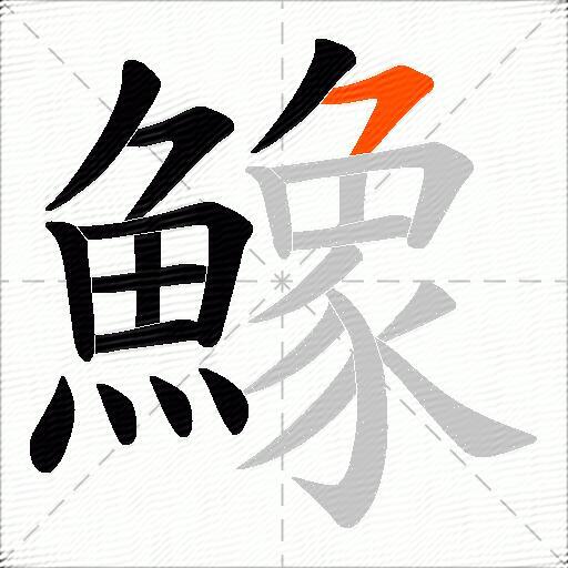 鱌