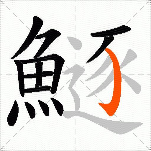 鱁