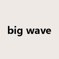 big wave是什么意思