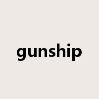 gunship是什么意思