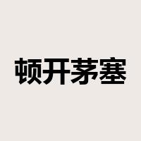 顿开茅塞是什么意思
