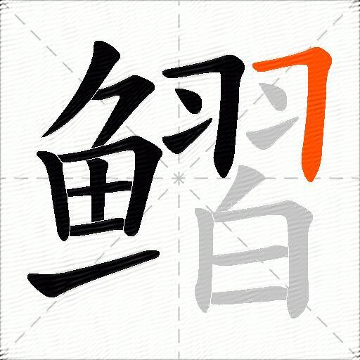 鳛
