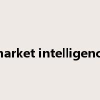 market intelligence是什么意思
