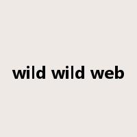 wild wild web是什么意思