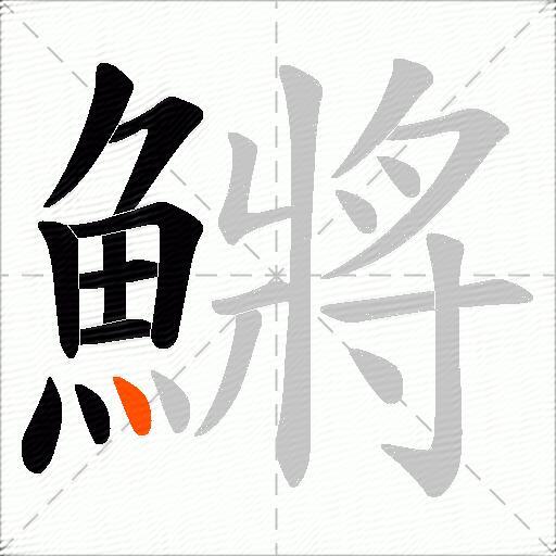 鱂