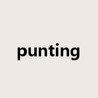 punting是什么意思