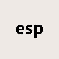 esp是什么意思