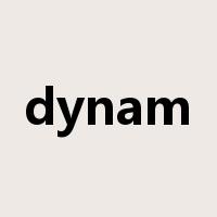 dynam是什么意思