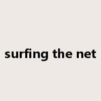 surfing the net是什么意思
