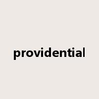 providential是什么意思