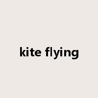 kite flying是什么意思