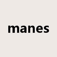 manes是什么意思