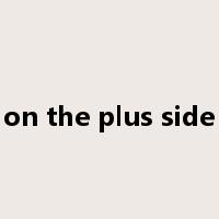 on the plus side是什么意思
