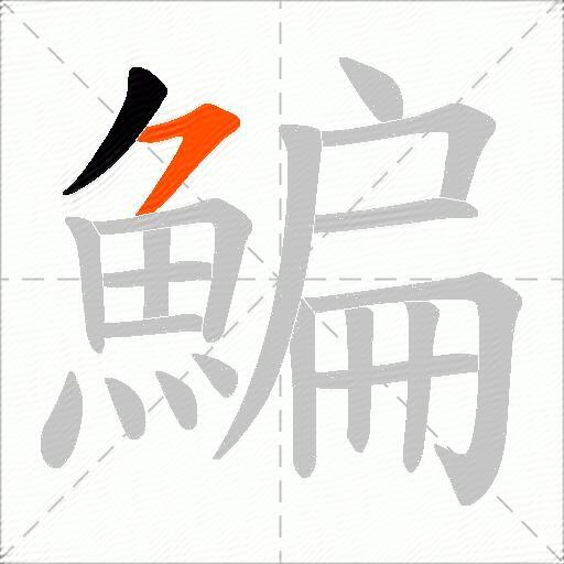 鯿