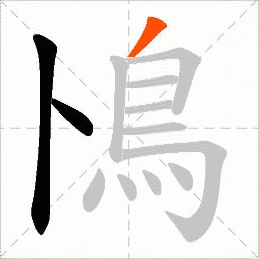 鳪