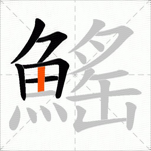 鰩