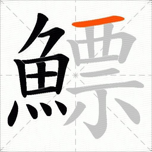 鰾