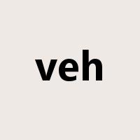 veh是什么意思
