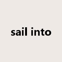 sail into是什么意思