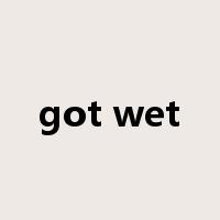 got wet是什么意思