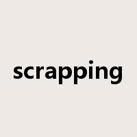 scrapping是什么意思